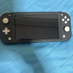 オンラインショップ】 Switch Nintendo Lite 充電器付き箱無し