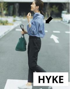hyke ストライプシャツ ハイク 長袖 size2 ブルー ホワイト