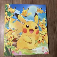 ポケモンカード　コレクションファイル　2冊セット　イーブイズ ピカチュウ大集合 コレクションファイル ピカチュウ大集合 – 晴れる屋2