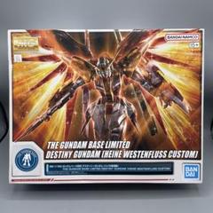 2025年最新】MG ハイネ専用デスティニーガンダムの人気アイテム