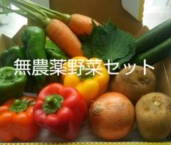 産地直送『店主の気まぐれ野菜セット』CⅩⅩⅩⅡ