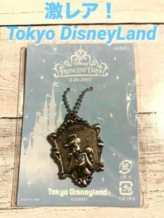 東京ディズニーランド シンデレラブレーション 非売品キーホルダー 新品