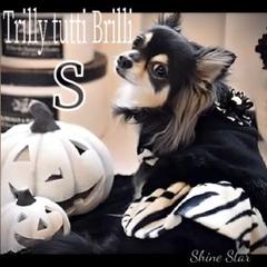 Trilly tutti Brilli 犬服 S ゼブラ 2WAY ファー黒新品 - メルカリ