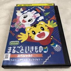 しまじろうのわお！　まるごといきものスペシャル！　DVD