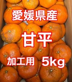 2025年最新】愛媛みかん甘平の人気アイテム - メルカリ
