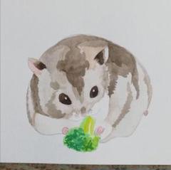 ジャンガリアン ハムスターとブロッコリー イラスト 水彩画 原画