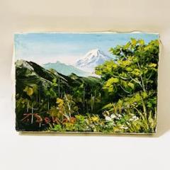 村岡大洋油絵油彩画絵画F6秩父長瀞