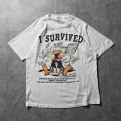 【入手困難】90s USA製 アート 音楽教育者協会 Tシャツ アヒル ユニーク