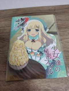 3DS 閃乱カグラ -少女達の真影- 購入特典 少女達の秘密ファイル