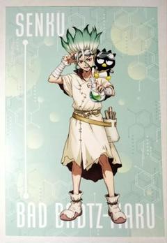 Dr.STONE 石神千空 ポストカード 等身 特典 サンリオ - メルカリ
