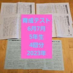 2025年最新】日能研 4年 育成テストの人気アイテム - メルカリ