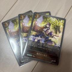 竜巫女の儀式 3枚