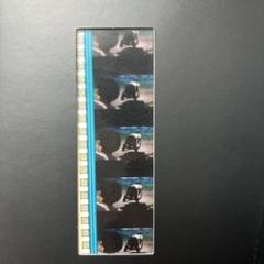 ヱヴァンゲリヲン新劇場版:破　DVD特典コマフィルム　ラストシーン　シンジ　レイ Amazon.co.jp: ヱヴァンゲリヲン新劇場版:破 EVANGELION:2.22
