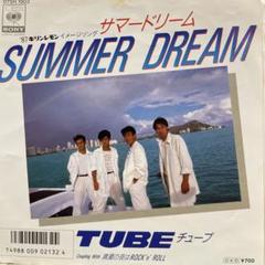 TUBE チューブ サマードリーム シングルレコード - メルカリ