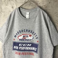 A2776古着　Tシャツ グレー　バックプリント