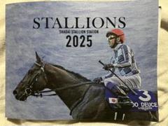 社台スタリオン2025 ノベルティ 2025年最新】社台スタリオン 2025の人気アイテム - メルカリ