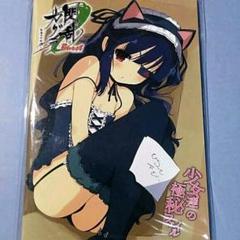 ●新品●閃乱カグラ Burst -紅蓮の少女達 少女達の極秘ファイル+CD付き★