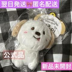 RIIZE ペンミ　ぬいぐるみバッジ　アントン RIIZE アントン ペンミ ぬいぐるみバッジ モンリョンイ - メルカリ