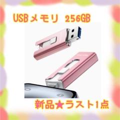 ❤️大特価❤️ USBメモリ　256gb 写真保存　フラッシュメモリ　バックアップ