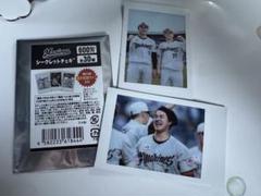 西川史礁 小野郁 千葉ロッテマリーンズ シークレットチェキ NCE