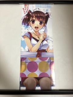 【非売品】冴えない彼女の育てかた 深崎暮人 氷堂美智留 ロング サイズ ポスター 非売品】冴えない彼女の育てかた 深崎暮人 氷堂美智留 ロング