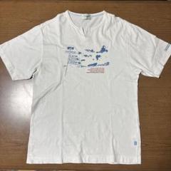 クロコダイル