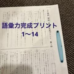 SAPIX サピックス 小6 国語 SS特訓/冬期講習/正月特訓 語彙力完成プリント 全24回フルセット/ファイル付 2024 027m2D SAPIX サピックス 小6 国語 SS特訓/冬期講習/正月特訓 語彙力