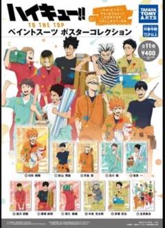 ハイキュー‼︎ BIGファブリックポスター　赤葦京治　ポートレートシリーズ ハイキュー！！ ポートレートシリーズ BIGファブリックポスター