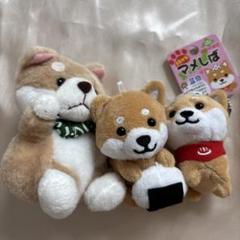 柴犬　マスコット　キーホルダー　マメしば　セット