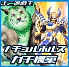 遊戯王　ナチュルホルス　デッキ　ガチ構築　赤き竜　バロネス　うらら　無限泡影 m40821343443_1.jpg?1730726349