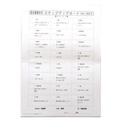 サピックス ５年 ６年＊社会 歴史重要年代ステップアップカード 完全版＊貴重. 2025年最新】SAPIX 年代の人気アイテム - メルカリ
