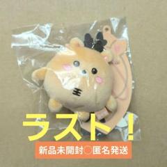 2025年最新】rIize ぬいぐるみ ソンチャンの人気アイテム - メルカリ