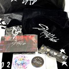 アプグレ　StrayKids エコパ アプグレグッズ 未開封 5/10 銀テ付き Stray Kids エコパ 5/10 アプグレ 特典 グッズ 銀テ