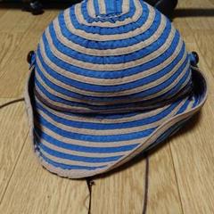 52センチ