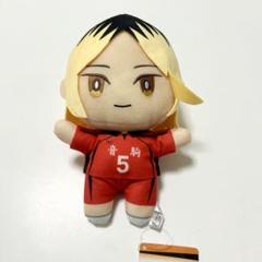 ハイキュー‼︎ みにコレ！ぬいぐるみ 孤爪研磨
