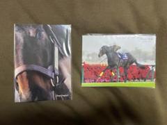 競馬 ノーザンホースパーク シュネルマイスター たてがみ　馬福 セレクトセール2025】新種牡馬シュネルマイスターの牝馬が