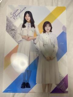 佐藤楓　早川聖来　池田 瑛紗クリアファイルセットのサムネイル