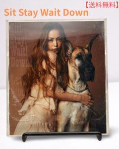 安室奈美恵／CD＋DVD ケース割れあり