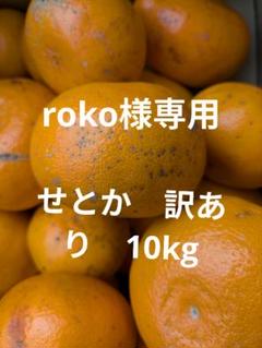 星タンゴール10キロ　小玉 みかん 小玉のおすすめ人気商品一覧 通販 - Yahoo!ショッピング