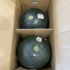 0626千葉県産富里大玉スイカブラックジャック規格外品5Lサイズ1箱2玉入り 0626千葉県産富里大玉スイカブラックジャック規格外品5Lサイズ1
