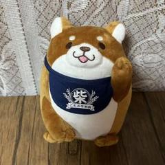 忠犬もちしば　おしゃべりミニぬいぐるみ2