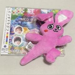 パンダドラゴン パラゴン なぎ ぬいぐるみ ぬい - メルカリ