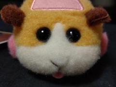びゅんびゅん!モルカー ポテト