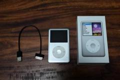 iPod Classic　160GB　２個　USBケーブル付　ジャンク品 iPod classic 160GB ⚠️ジャンク品⚠️ - メルカリ