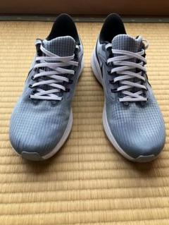 Nike ナイキ ペガサス39 26.5㎝