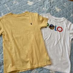 Polo Tシャツ 2枚セット