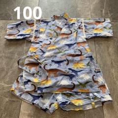 恐竜⭐︎甚平⭐︎100