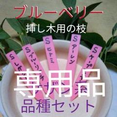 (82)ブルーベリーの挿し木枝【サザン系品種セット】