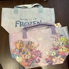 香港ディズニー　ショッピングバッグ　sサイズ　ダッフィーアンドフレンズ　アナ雪