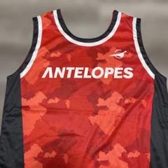 TOYOTA ANTELOPES RED CRUISERS 他4面 ユニフォーム